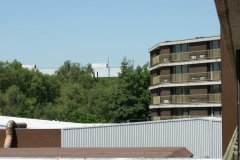 SONY DSC