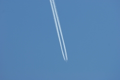 SONY DSC