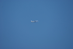 SONY DSC