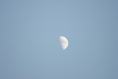 SONY DSC